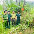 Tăng cường kiểm tra, tuyên truyền phòng cháy, chữa cháy rừng