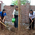 Ban Phụ nữ Công an tỉnh hưởng ứng “Tết trồng cây - Đời đời nhớ ơn Bác Hồ”