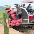 Nông Cống tổ chức Hội nghị tuyên truyền và ký cam kết chấp hành các quy định của pháp luật đối với các tổ chức, cá nhân là chủ máy gặt lúa trên địa bàn xã năm 2026