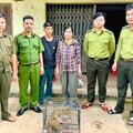 Kịp thời bàn giao, thả cá thể khỉ hoang dã về môi trường tự nhiên