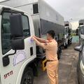 Đào tạo và sát hạch lái xe – Hướng tới năng lực thực chất