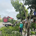 Công an phường Nghi Sơn tiếp tục tăng cường công tác thiết lập trật tự đô thị, trật tự công cộng trên địa bàn