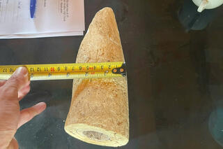 <a href="/tin-tuc-su-kien/tin-an-ninh-trat-tu" title="Tin An ninh trật tự" rel="dofollow">Tin An ninh trật tự</a>