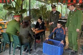 <a href="/tin-tuc-su-kien/tin-an-ninh-trat-tu" title="Tin An ninh trật tự" rel="dofollow">Tin An ninh trật tự</a>