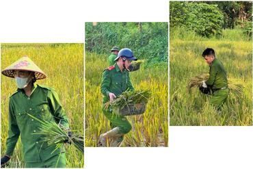 <a href="/tin-tuc-su-kien/tin-hoat-dong" title="Tin hoạt động" rel="dofollow">Tin hoạt động</a>