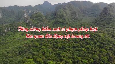 Công an Thanh Hóa tăng cường kiểm soát vi phạm pháp luật liên quan đến động vật hoang dã