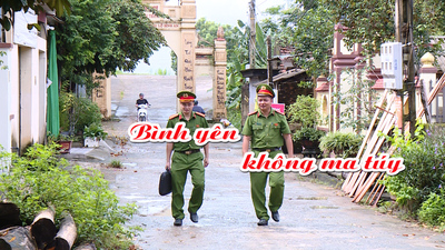 Bình yên không ma túy