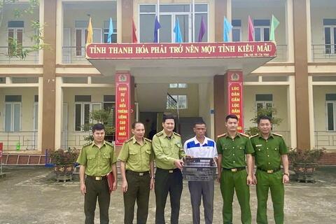 Xã Thanh Phong: Người dân tự giác giao nộp cá thể tê tê