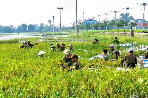 Công an xã Đông Thành, Quý Lương hỗ trợ Nhân dân thu hoạch lúa bị ngập