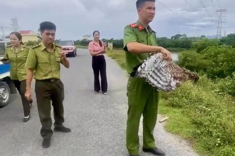 Công an xã Thiệu Hóa tuyên truyền, vận động Nhân dân bảo vệ động vật hoang dã, tiếp nhận cá thể chim hoang dã đẻ thả môi trường tự nhiên