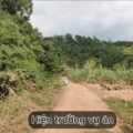 Người dân cần chủ động, nâng cao ý thức bảo vệ tài sản để phòng ngừa có hiệu quả với loại tội phạm trộm cắp xe máy