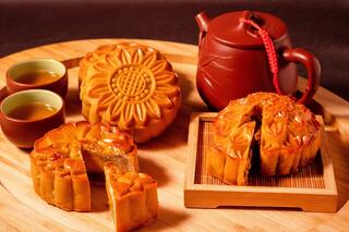 <a href="/tin-tuc-su-kien/tin-hoat-dong" title="Tin hoạt động" rel="dofollow">Tin hoạt động</a>