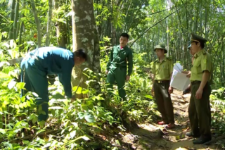 <a href="/tin-tuc-su-kien/huong-ve-co-so2" title="Phong trào toàn dân bảo vệ ANTQ" rel="dofollow">Phong trào toàn dân bảo vệ ANTQ</a>
