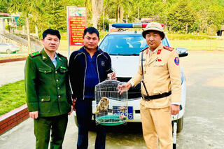 <a href="/tin-tuc-su-kien/tin-hoat-dong" title="Tin hoạt động" rel="dofollow">Tin hoạt động</a>