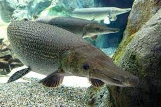 <a href="/tin-tuc-su-kien/tin-an-ninh-trat-tu" title="Tin An ninh trật tự" rel="dofollow">Tin An ninh trật tự</a>