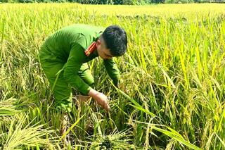 <a href="/tin-tuc-su-kien/tin-hoat-dong" title="Tin hoạt động" rel="dofollow">Tin hoạt động</a>