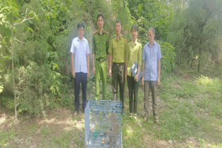 <a href="/tin-tuc-su-kien/tin-hoat-dong" title="Tin hoạt động" rel="dofollow">Tin hoạt động</a>