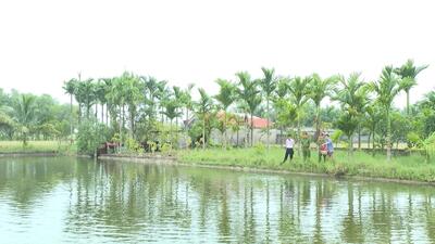 Chuyên mục số 1179 phát sóng ngày 22.10.2025