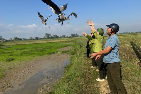 Tăng cường các biện pháp ngăn chặn, xử lý tình trạng giăng lưới bẫy chim trời