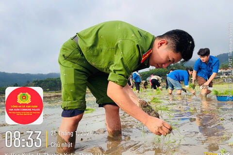 Vạn Xuân: Đẹp mãi hình ảnh chiến sĩ Công an xuống đồng  cùng Nhân dân cấy lúa