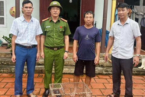 Người dân tự nguyện giao nộp cá thể tê tê quý, hiếm
