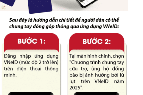 HƯỚNG DẪN CÁCH ỦNG HỘ ĐỒNG BÀO BỊ LŨ LỤT TRÊN ỨNG DỤNG VNEID