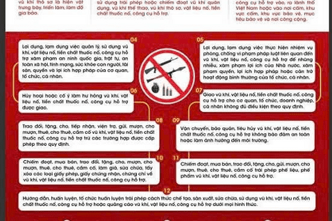 Xử lý vi phạm quy định về quản lý, sử dụng vũ khí, vật liệu nổ, tiền chất thuốc nổ, công cụ hỗ trợ