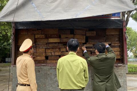 Phòng Cảnh sát giao thông liên tiếp phát hiện, bắt giữ 02 vụ vận chuyển 50m3 gỗ lim, gụ không rõ nguồn gốc