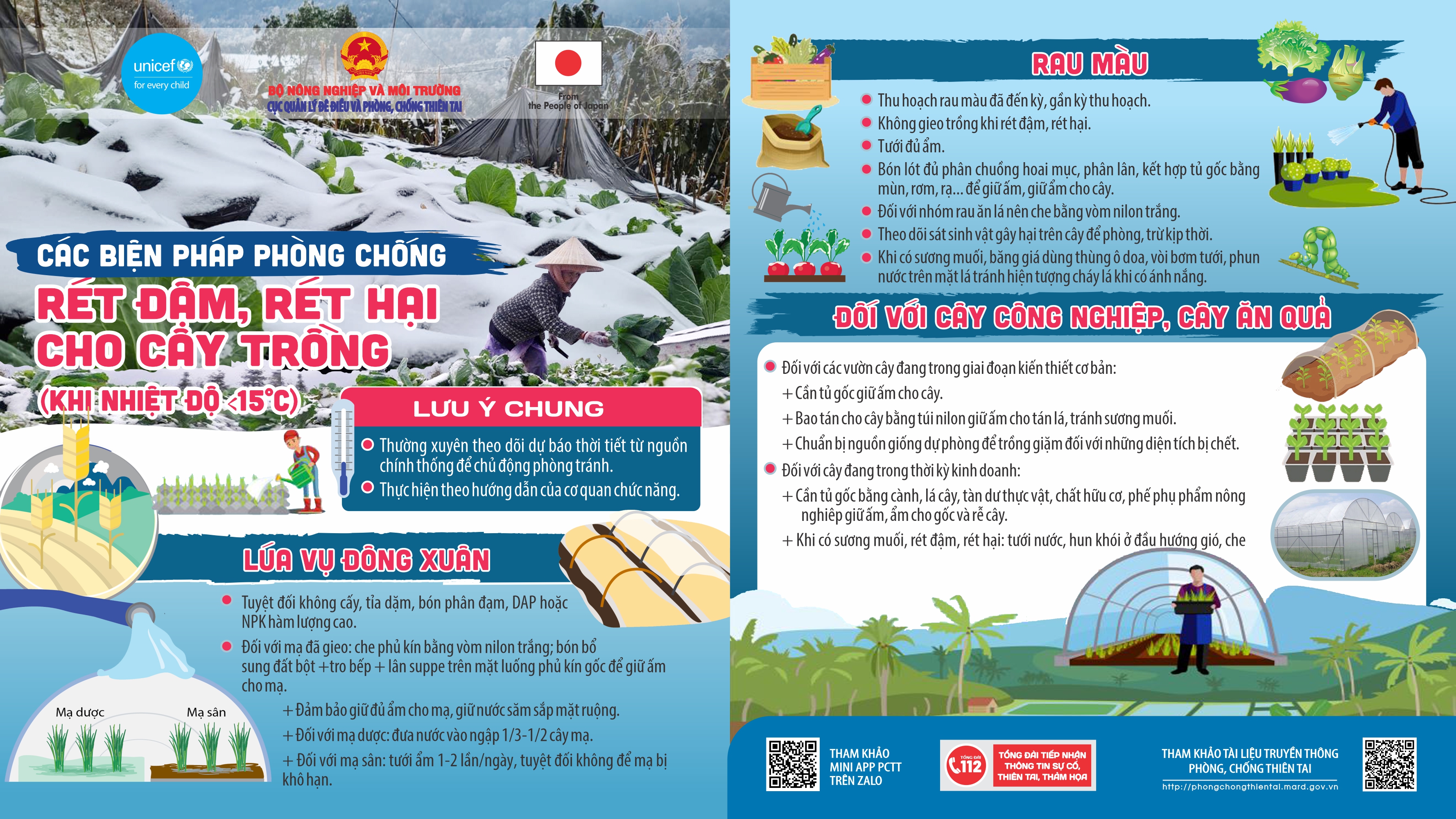 Info2-Cach_phong_chong_ret_dam__ret_hai_cho_cay_trong-n_6d27b